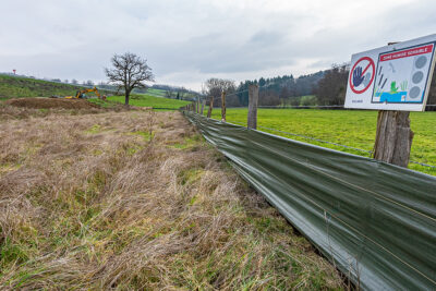 Agrandir l'image 3 sur 3, fenêtre modale