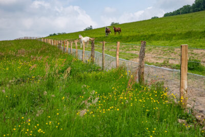 Agrandir l'image 5 sur 6, fenêtre modale