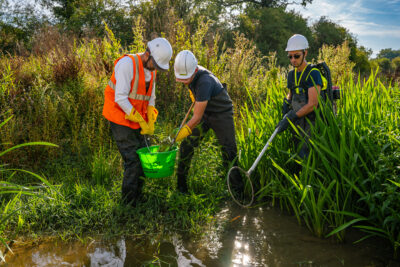 Agrandir l'image 6 sur 6, fenêtre modale