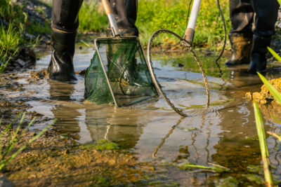 Agrandir l'image 5 sur 6, fenêtre modale