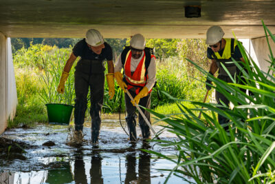 Agrandir l'image 1 sur 6, fenêtre modale