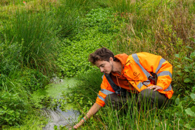 Agrandir l'image 1 sur 6, fenêtre modale