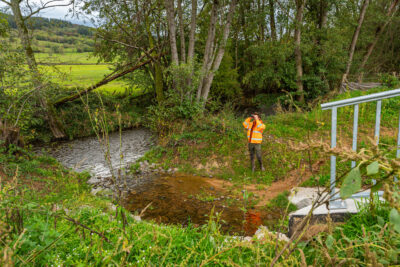 Agrandir l'image 3 sur 6, fenêtre modale