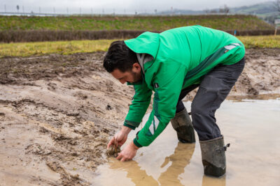 Agrandir l'image 1 sur 6, fenêtre modale