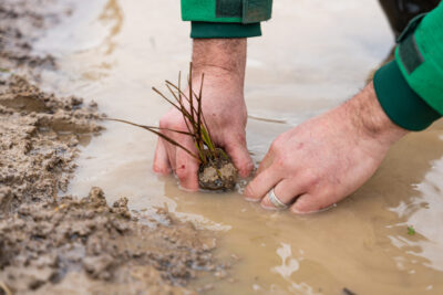 Agrandir l'image 2 sur 6, fenêtre modale