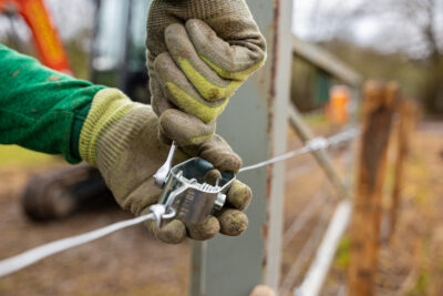 Agrandir l'image 3 sur 6, fenêtre modale