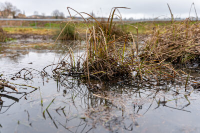 Agrandir l'image 1 sur 6, fenêtre modale