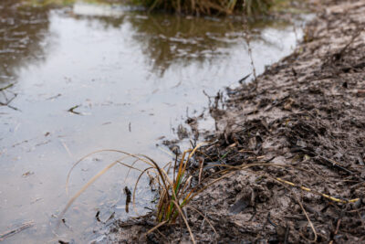Agrandir l'image 6 sur 6, fenêtre modale