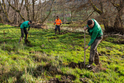 Agrandir l'image 6 sur 6, fenêtre modale
