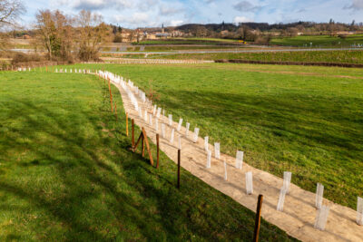 Agrandir l'image 3 sur 5, fenêtre modale