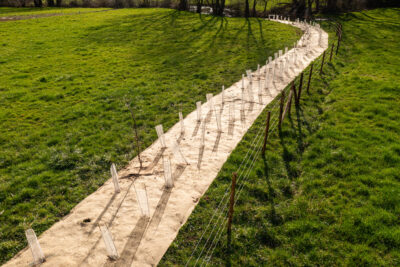 Agrandir l'image 4 sur 5, fenêtre modale