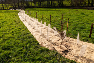 Agrandir l'image 5 sur 5, fenêtre modale