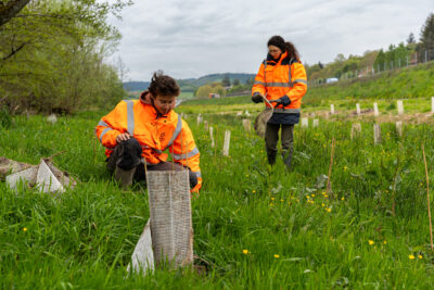 Agrandir l'image 2 sur 6, fenêtre modale
