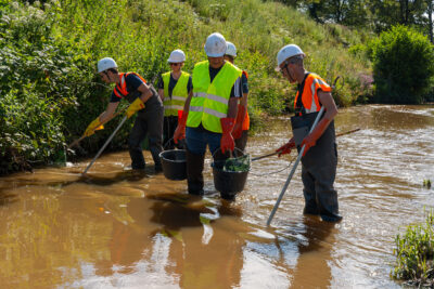 Agrandir l'image 1 sur 6, fenêtre modale