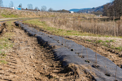Agrandir l'image 1 sur 6, fenêtre modale