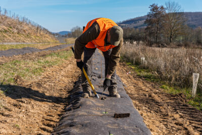 Agrandir l'image 2 sur 6, fenêtre modale