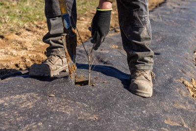 Agrandir l'image 3 sur 6, fenêtre modale