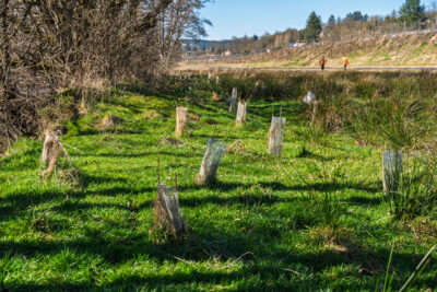Agrandir l'image 4 sur 6, fenêtre modale