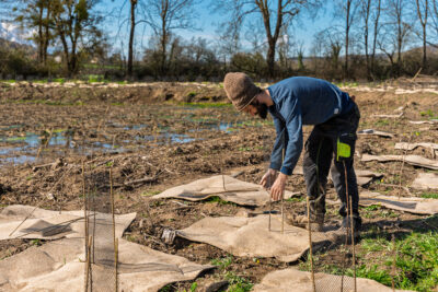 Agrandir l'image 3 sur 6, fenêtre modale