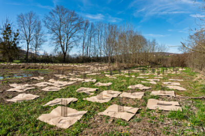 Agrandir l'image 5 sur 6, fenêtre modale