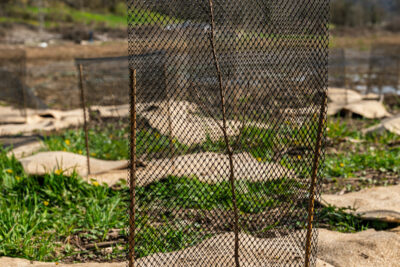 Agrandir l'image 6 sur 6, fenêtre modale