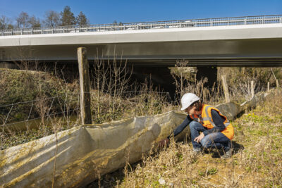 Agrandir l'image 1 sur 3, fenêtre modale
